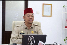 Pemprov Sumsel Percepat Pemulangan 15 Warga Terkendala Dokumen di Kamboja