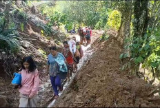 Jalan Utama Desa Lubuk Nipis Kembali Putus Diterjang Longsor