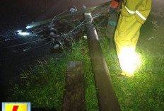 Dua Tiang Listrik Roboh dan Pohon Tumbang, Warga Sungai Are-Sindang Danau Diminta Waspada Pemadaman Malam Ini