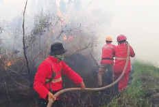 415 Kasus Karhutla Terjadi di Sumsel, Mayoritas di Wilayah Zona Merah