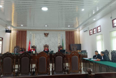 Dituntut 1 Tahun 3 Bulan Dalam Sidang Dugaan Ijazah Palsu, Kades Pematang Panggang Minta Dibebaskan