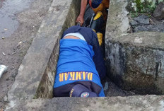 Bantu Warga, UPTD Damkar Banding Bersihkan Got