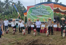 Dukung Target Swasembada Pangan 2025, Polres OKU Selatan Tanam Jagung Dilahan Seluas 1 Hektar