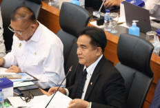Bantah Keras, Yusril Sebut Indonesia Tolak ‘Deal’ Israel Demi Kursi OECD