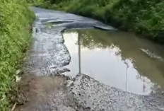 Akses ke Bengkulu Terganggu, Jalan Gunung Batu Kian Memprihatinkan