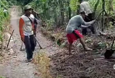 Secara Swadaya, Warga Gotong Royong Perbaiki Jalan Desa