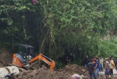 BPBD OKU Selatan Evakuasi Jalan Longsor di Akses Menuju Danau Ranau