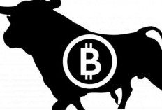 Bitcoin Melejit, MicroStrategy dan Metaplanet Jadi Dalang di Balik Lonjakan