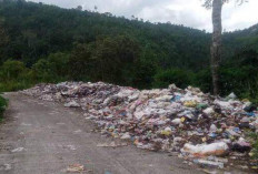 Jalan Lintas Pulau Beringin-Mekakau Ilir Jadi Tempat Pembuangan Sampah Liar