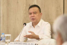 DPR Dorong Kemlu-Dubes RI Sediakan 'Hotline' Khusus