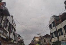 Ini Pertanda Keberadaan burung pipit yang terbang di langit Muaradua pada sore hari