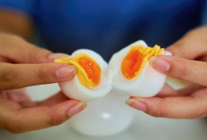 Telur merupakan salah satu bahan dapur klasik yang tak pernah lekang oleh waktu.