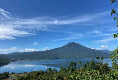 17 Spesies Fauna di Habitat Saka Gunung Raya Terancam Punah