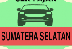 Realisasi pajak daerah Sumsel capai Rp775 miliar hingga April 2025