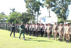 HUT TNI ke-80, Pemkab OKU Selatan Apresiasi Peran TNI Jaga Kedaulatan Negara
