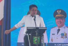 Gubernur Sumsel Dorong Percepatan Destinasi Wisata Kesehatan