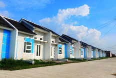 Pemerintah Tambah Kuota Rumah Subsidi untuk Wartawan, Jadi 3.000 Unit