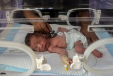 Bayi-bayi prematur berjuang bertahan hidup di tengah krisis di Gaza