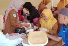Tak Perlu Repot-repot! Bayi, Ibu Hamil, hingga Lansia Dilayani Langsung di Desa