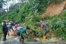 BREAKING NEWS: Longsor Landa Liku Jagok Waibulan, Jalan Licin & Berbahaya, Pengendara Harus Ekstra Waspada!