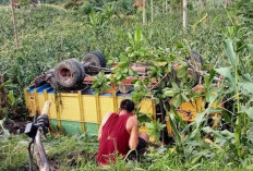 Truk Pengangkut Bata Asal Martapura Terperosok di Tanjung Beringin