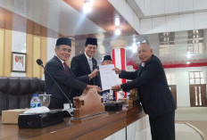 Jalan Rusak Betung–Payaraman Disorot, Anggota DPRD OI Desak Perbaikan