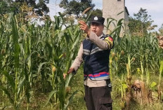 Personel Polsek Buay Runjung Ajak Warga Manfaatkan Lahan Tidur