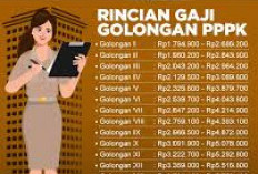 Pendidikan dan Masa Kerja Pengaruhi Gaji PPPK 2025, Rincian Lengkap