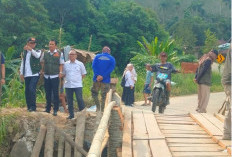 BNPB RI Tinjau Langsung Jembatan Teriti yang Putus Diterjang Banjir di Mekakau Ilir, Warga Berharap Perbaikan 