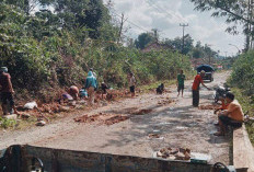 Warga Desa Bedeng Blambangan Gotong Royong Tampal Jalan