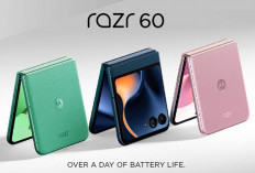 HP Lipat Moto Razr 60 Bisa Dibeli di RI 25 Februari, Ini Spesifikasi dan Harganya