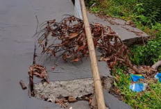 Jalan Milik Provinsi Sumsel di Mekakau Ilir Nyaris Putus Total