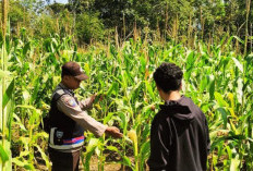 Polisi Bantu Petani Tingkatkan Produk Ketahanan Pangan