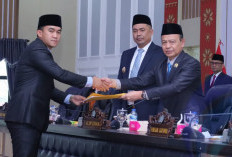 Bupati dan DPRD OKU Selatan Matangkan Pembahasan KUA-PPAS 2025