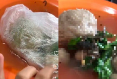 Video Bakso Diduga Berisi Kodok Hebohkan Warganet Palembang, Pedagang Beri Klarifikasi