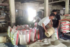 Kementan Maksimalkan Peran Penggilingan Kecil Jaga Harga Beras