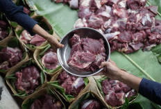 Distribusi Daging Kurban Diantisipasi Lebih Tertib di Sejumlah Wilayah Sumatera Selatan
