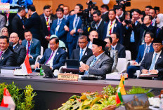 Demi Perkuat Kawasan, Prabowo Dorong Papua Nugini Gabung ASEAN 