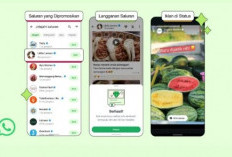 WhatsApp akan tampilkan iklan di Status