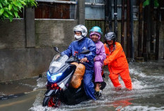 Yakin Mau Terobos Banjir? Pikirkan Risiko Ini Sebelum Ambil Keputusan