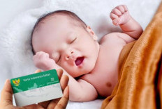 Integrasi Layanan Publik Digenjot, Bayi Baru Lahir Otomatis Terdaftar BPJS Kesehatan