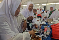 Fase Armuzna, 3,7 Juta Boks Makanan Siap Saji Didistribusikan ke Jemaah Haji Indonesia
