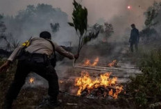 PT Banyu Kahuripan Dihukum Bayar Rp282 Miliar Akibat Karhutla di Muba