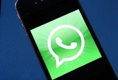 Tak Cuma Emoji, Pengguna WhatsApp Kini Bisa 'React' Pakai Stiker