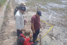 DLH OKU Timur investigasi semburan gas disertai api di area sawah