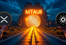 Alasan Mengapa Pemegang XRP dan ADA Melirik Minotaurus (MTAUR)