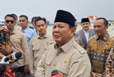 Indonesia Dapat Tarif Impor Terendah Dari Negara Asia Lainnya, Turun Jadi 19 Persen