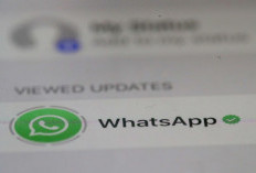 WhatsApp iPhone Bakal Terjemahkan Chat Otomatis, Dukung Bahasa Indonesia