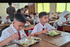 Program Makan Bergizi Gratis Dinilai Jadi Tameng Ekonomi di Tengah Ketidakpastian Global