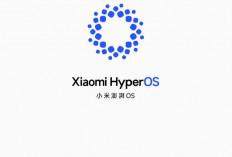 Daftar HP Xiaomi yang Kebagian Update HyperOS 2.2 Paling Populer